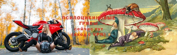 ALPHA PVP Абаза