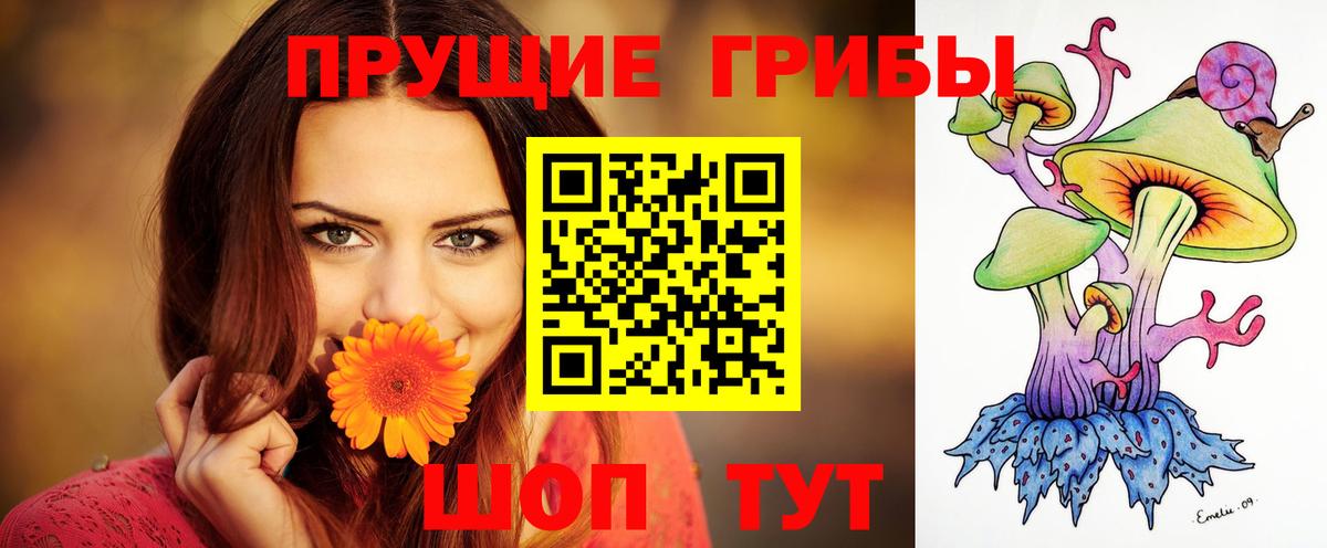 Псилоцибиновые грибы Psilocybine cubensis  наркота  Омск 