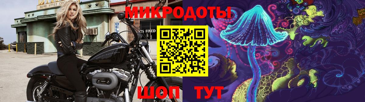 Омск  Галлюциногенные грибы Psilocybine cubensis  Вход с VPN 